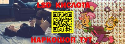 mdpv Гатчина
