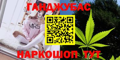 mdpv Гатчина