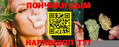 mdpv Гатчина
