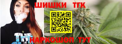 mdpv Гатчина
