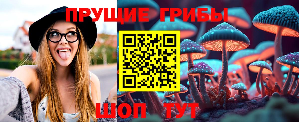 Балаково  Галлюциногенные грибы мицелий  Вход с VPN 