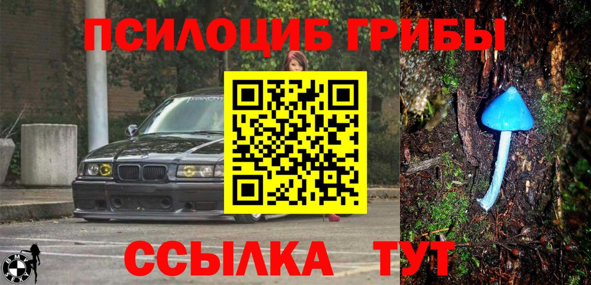 Галлюциногенные грибы мицелий Балаково